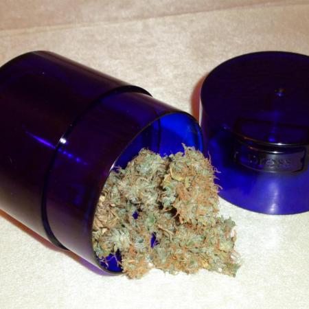 Auto Jack - MicroGrow