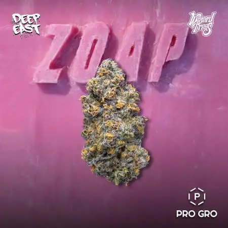 Zoap - Outdoor 26