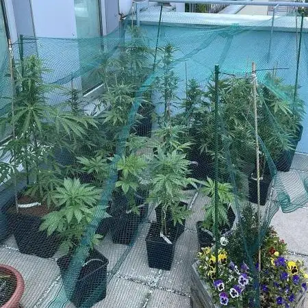 Slurricane Auto - Outdoor 25