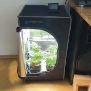 Frozen Biscotti - MicroGrow