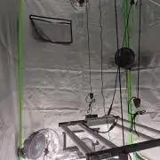 Fasbuds Autoflower 3 Strains