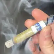 1. GROW - JUNGLEBOYS - ANIMAL TSUNAMI