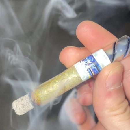 1. GROW - JUNGLEBOYS - ANIMAL TSUNAMI