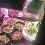 buckets420's joti grow