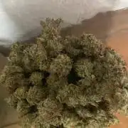 Ripper seeds - Zombie Bride