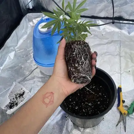 Permanent Marker clone