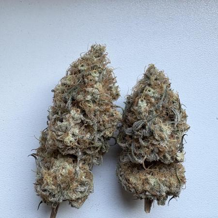 Solfire X Blackfarm X ExoticX GHS🍋🍒⛽️