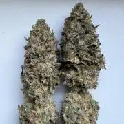 Solfire X Blackfarm X ExoticX GHS🍋🍒⛽️