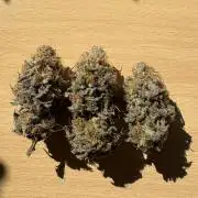 4 indoor girls