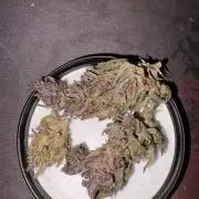 Outdoor Fastbuds🍰❄️