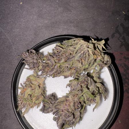 Outdoor Fastbuds🍰❄️