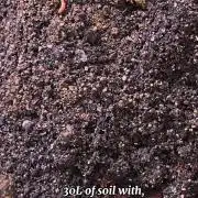 Hou_Stone Living Soil Creation