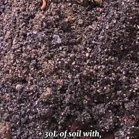 Hou_Stone Living Soil Creation