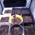 8080 MIX LED HLH