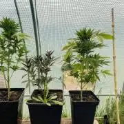 Empezando 