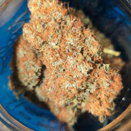 Hawaiian Dream - Sticky Finger Seeds