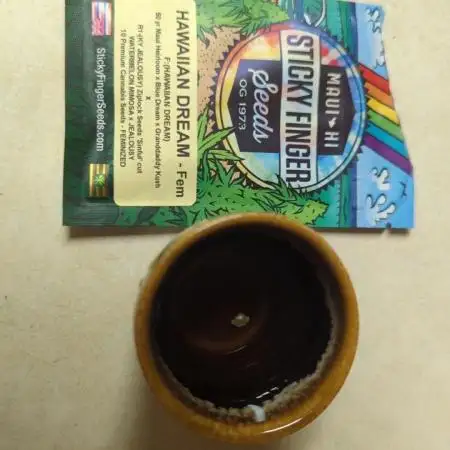 Hawaiian Dream - Sticky Finger Seeds