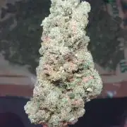 Strawberry Gorilla Auto