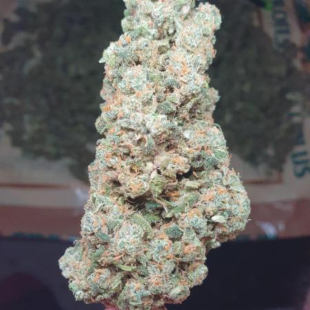 Strawberry Gorilla Auto