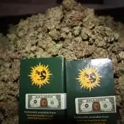 Zillions 💵 - Barney's Farm