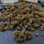 Gorilla Zkittlez Closet Grow 2# RDWC