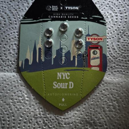 NYC Sour Diesel Autoflower by RQSxTyson