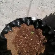 Exterior julio 2026