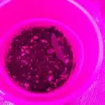 Grow 1