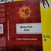 BARNEYS MOBY DICK AUTO