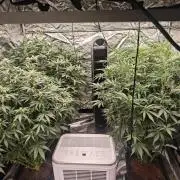 Mixed autopot run
