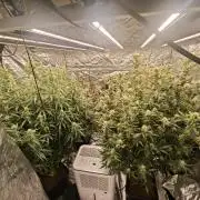 Mixed autopot run