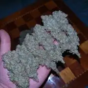 Z-Up Auto Fastbuds