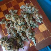 North Thunderfuck Auto RQS