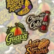 RF3 Auto Mixpack Fastbuds