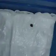 Frosted Zinn x Cookie Dog Eternity Cup26