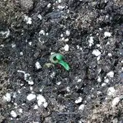 RF3 Auto Mix pack #2 Fastbuds