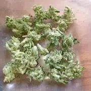 Outdoor Purplematic CBD RoyalQueenSeeds