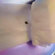 Orange Sherbet FF P#2 Fastbuds