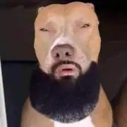 Permanent Marker Zamnesia