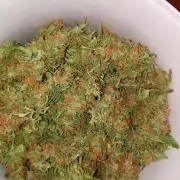 Chaos Cake Auto Anesia Seeds