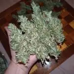 Wedding Cake Auto Barneys Farm