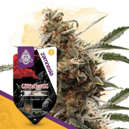 Godfather OG Auto Zamnesia