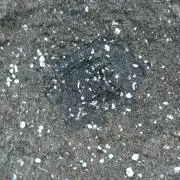 Cherry Cola RF3 P#1 F420 Eternity Cup'26