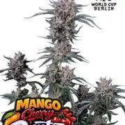 Mango Cherry Runtz Fastbuds