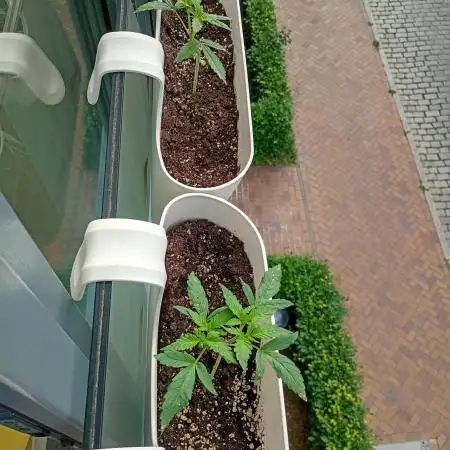 Outdoor project balkony like