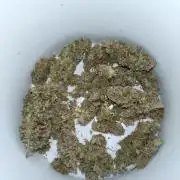 Purple Lemonade Auto RQS