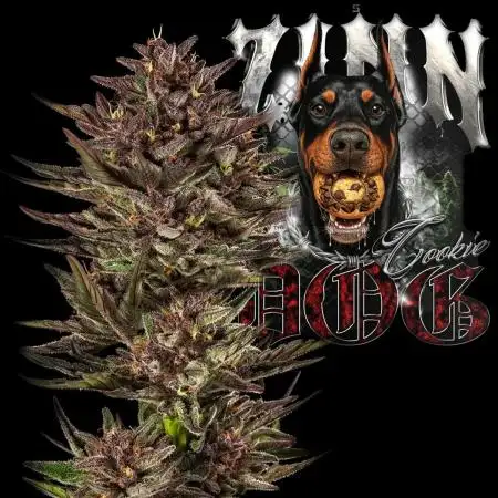 Frosted Zinn x Cookie Dog Eternity Cup26