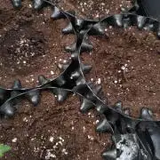 RF3 Auto Mixpack Fastbuds