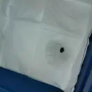 Purplematic CBD Royal Queen Seeds