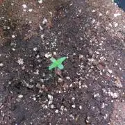 North Thunderfuck Auto RQS